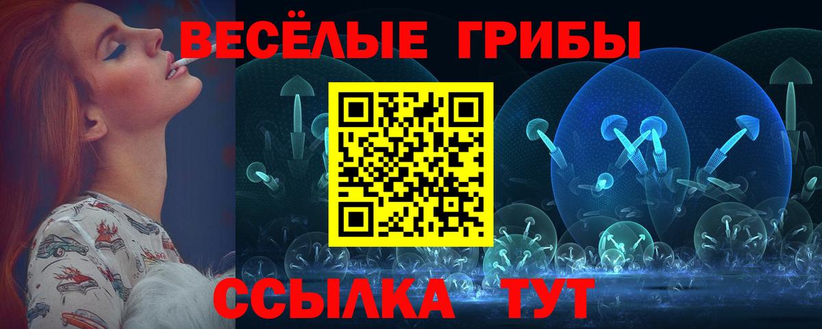Галлюциногенные грибы Magic Shrooms  Псилоцибиновые грибы Cubensis  Вход с VPN  Можга 