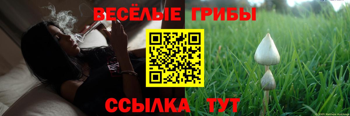Псилоцибиновые грибы MAGIC MUSHROOMS Можга
